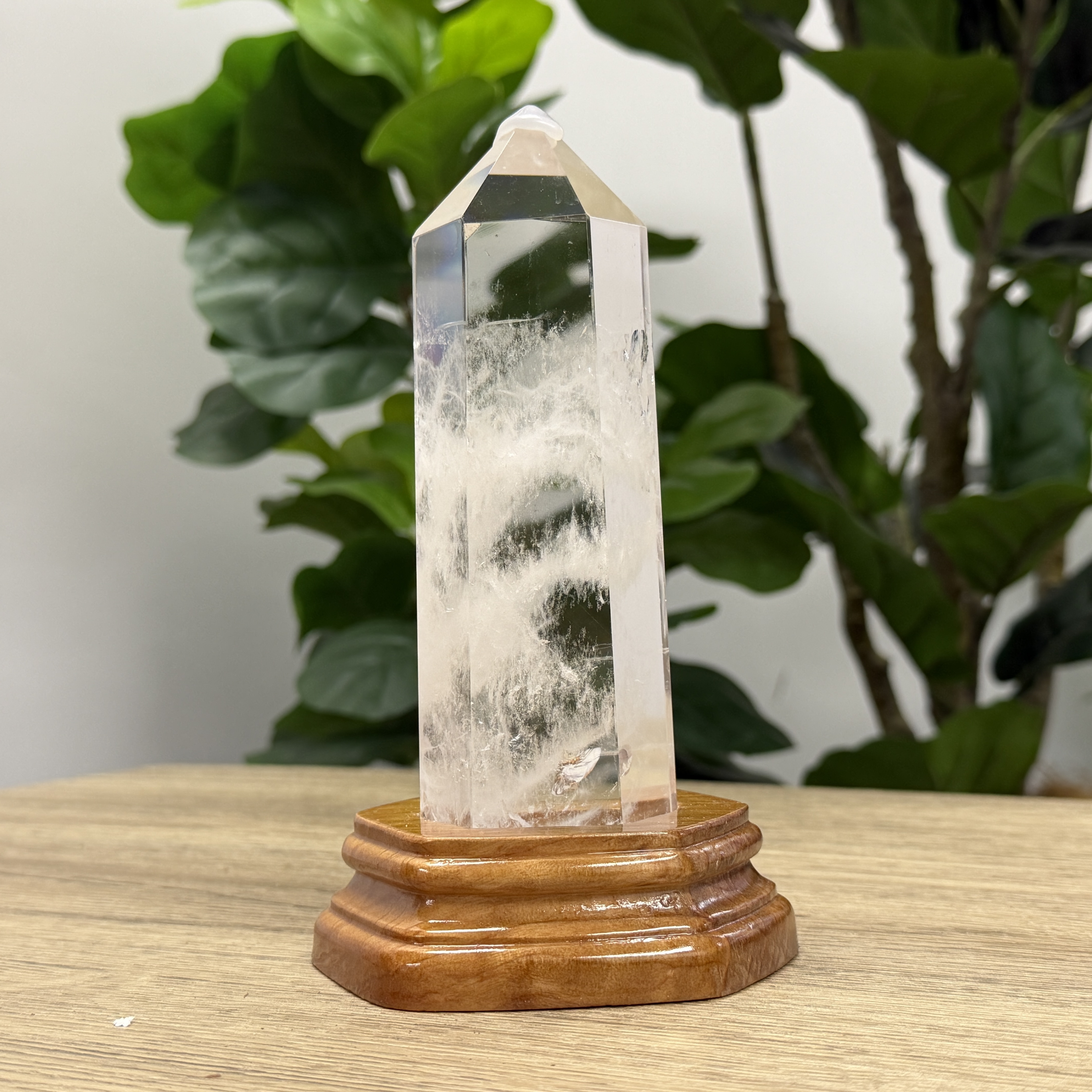 白晶柱 手圍16以上 WD2238