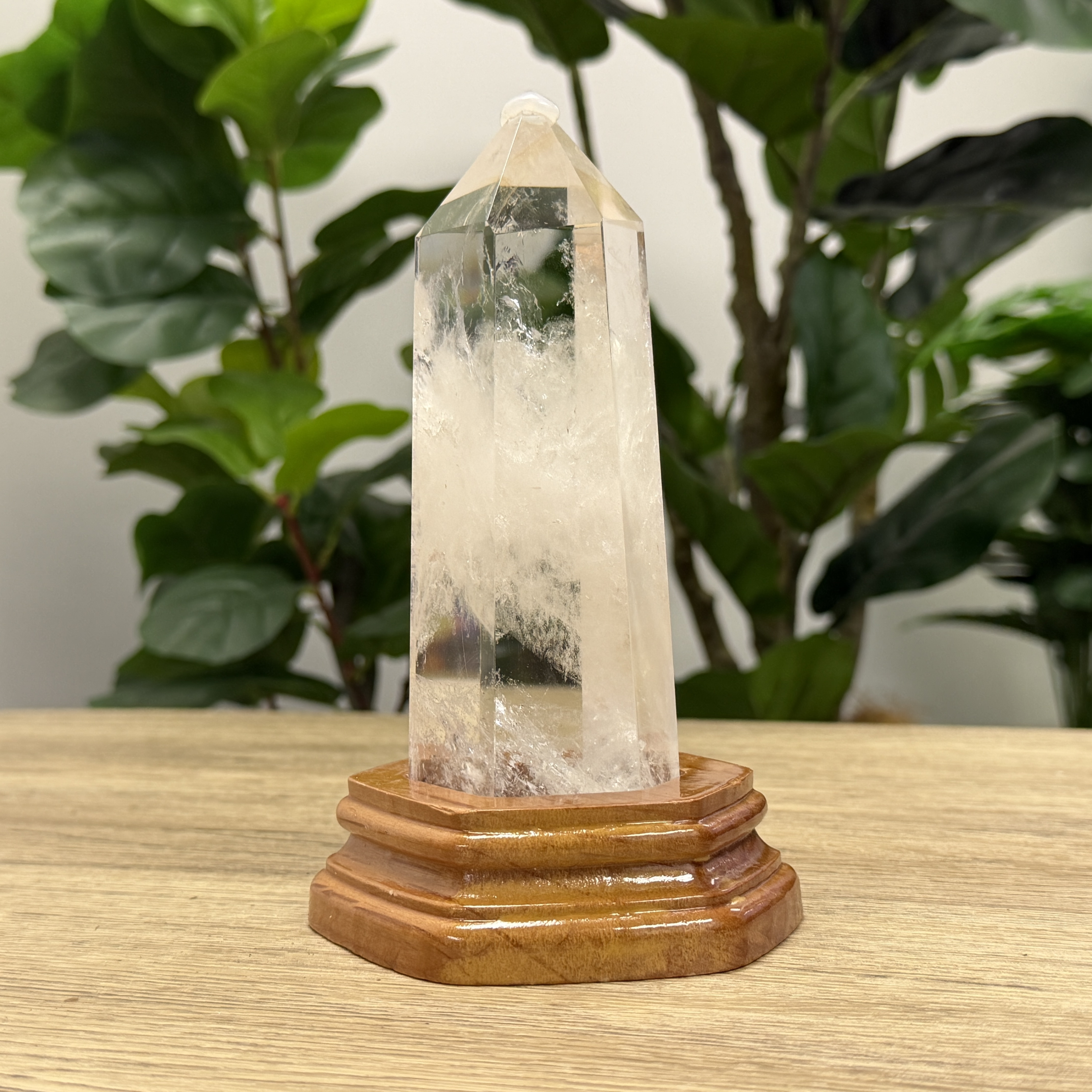 白晶柱 手圍17.5以上 WD2237