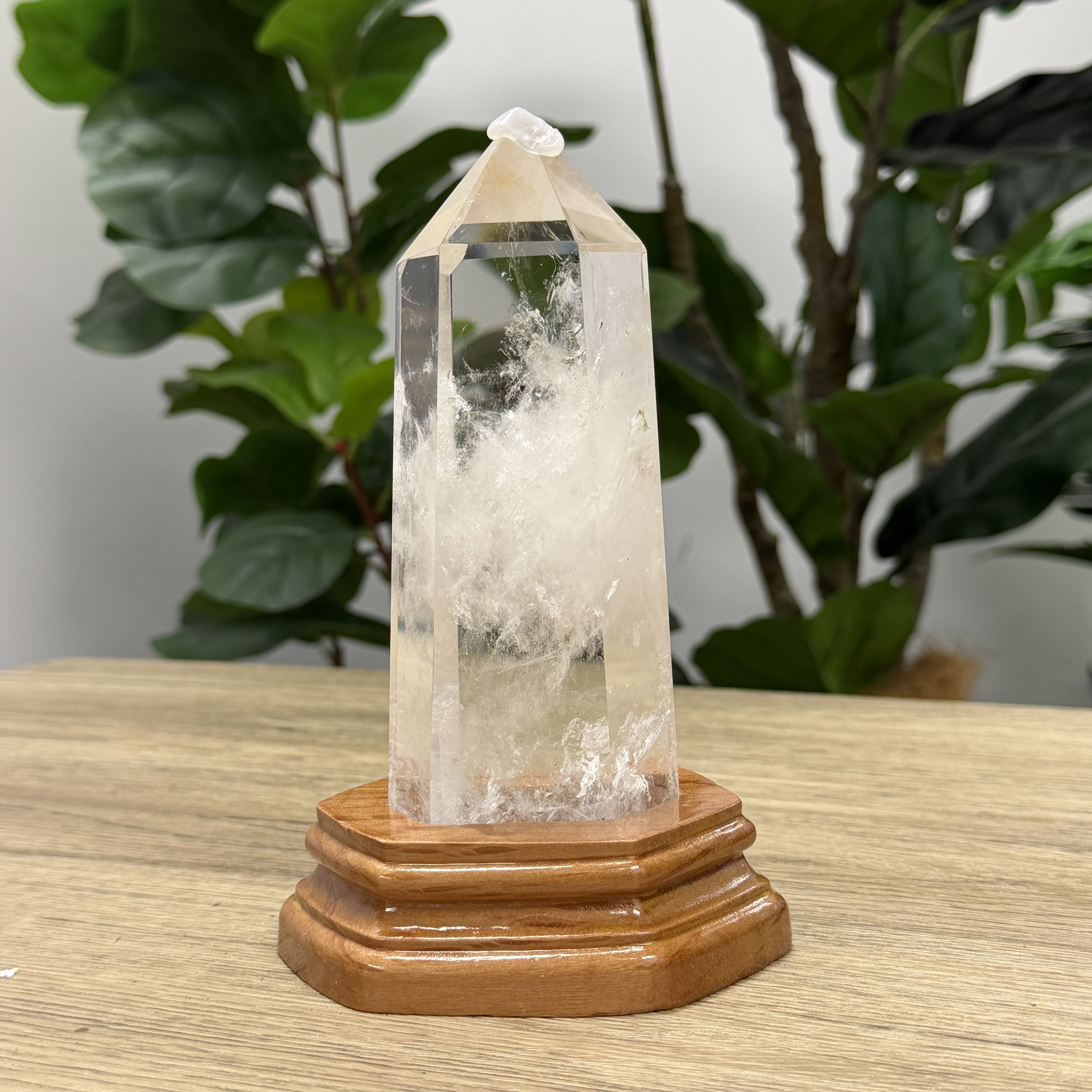 白晶柱 手圍17.5以上 WD2237