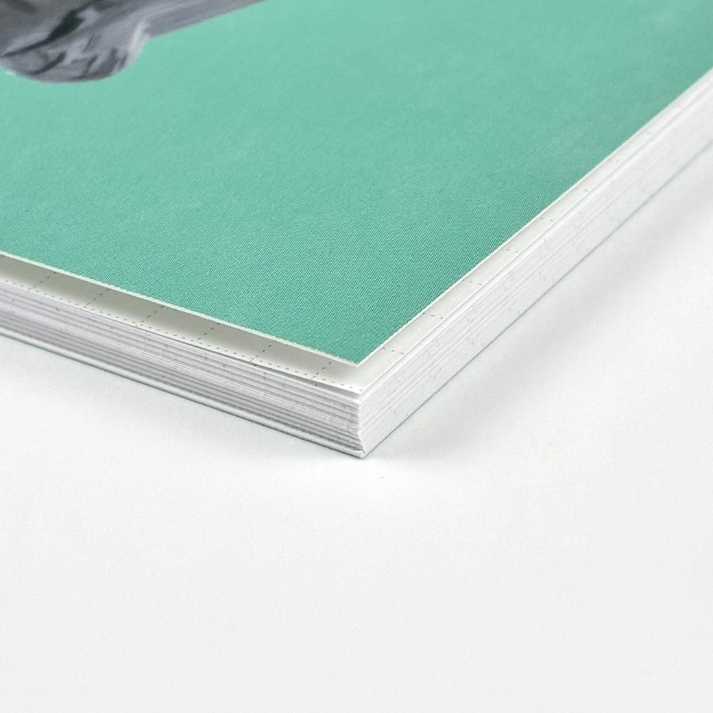 袖山嘉穗子_貓 A5方格筆記本｜日本Greeting Life