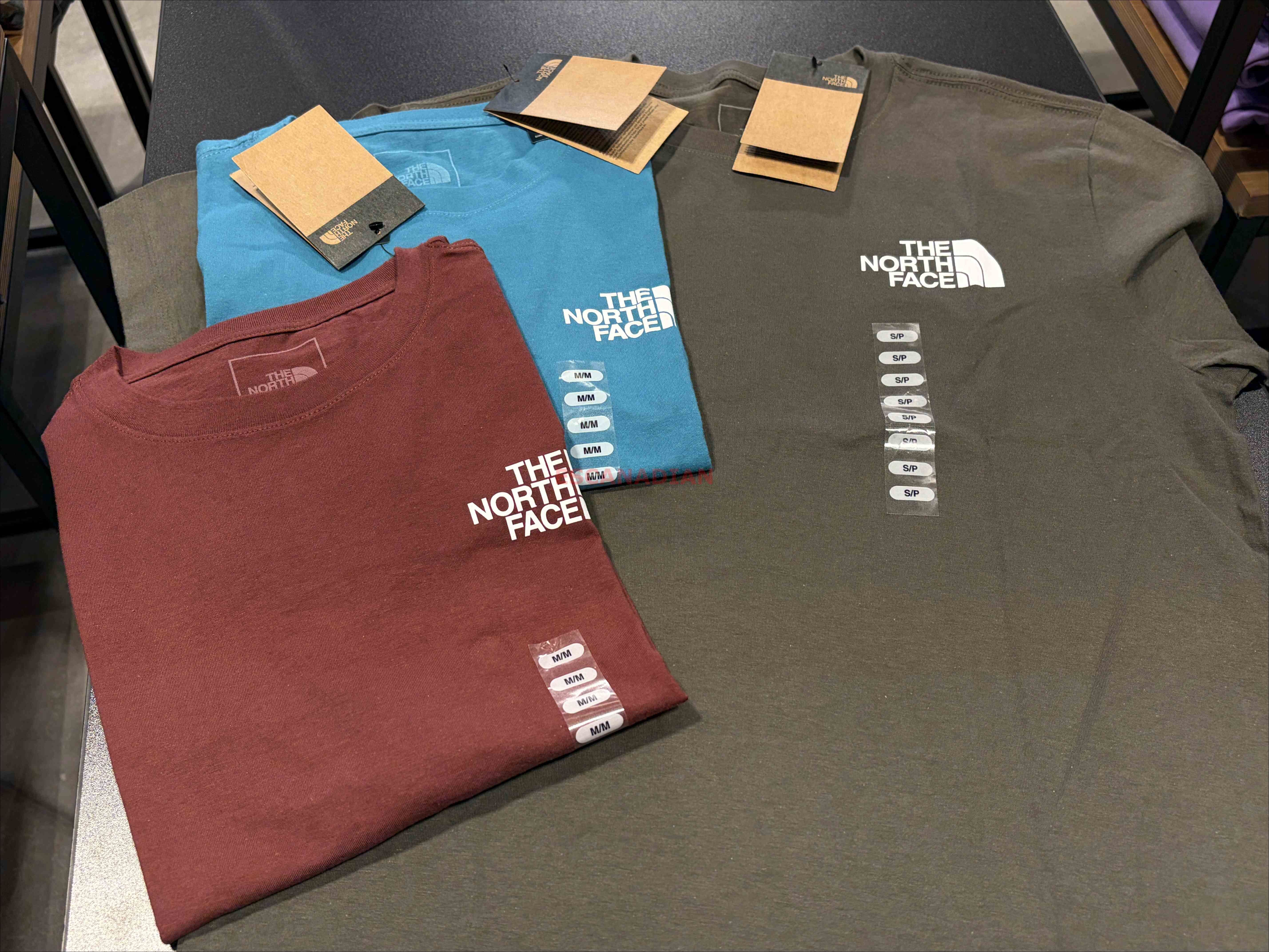 THE NORTH FACE 男大人 經典正反LOGO 短TEE (3色) (前小後大)