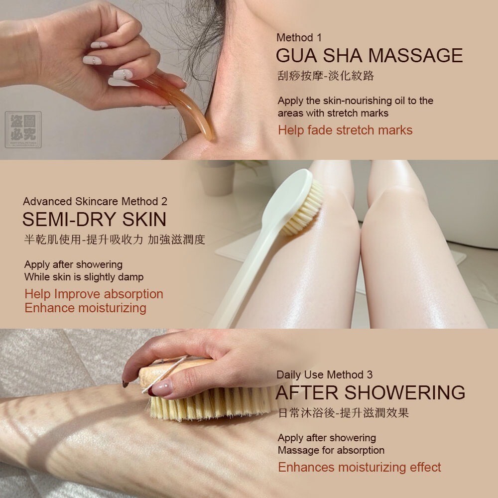 WSBB10789  加拿大 薔薇聖草淡紋緊致養膚油（5月中旬）