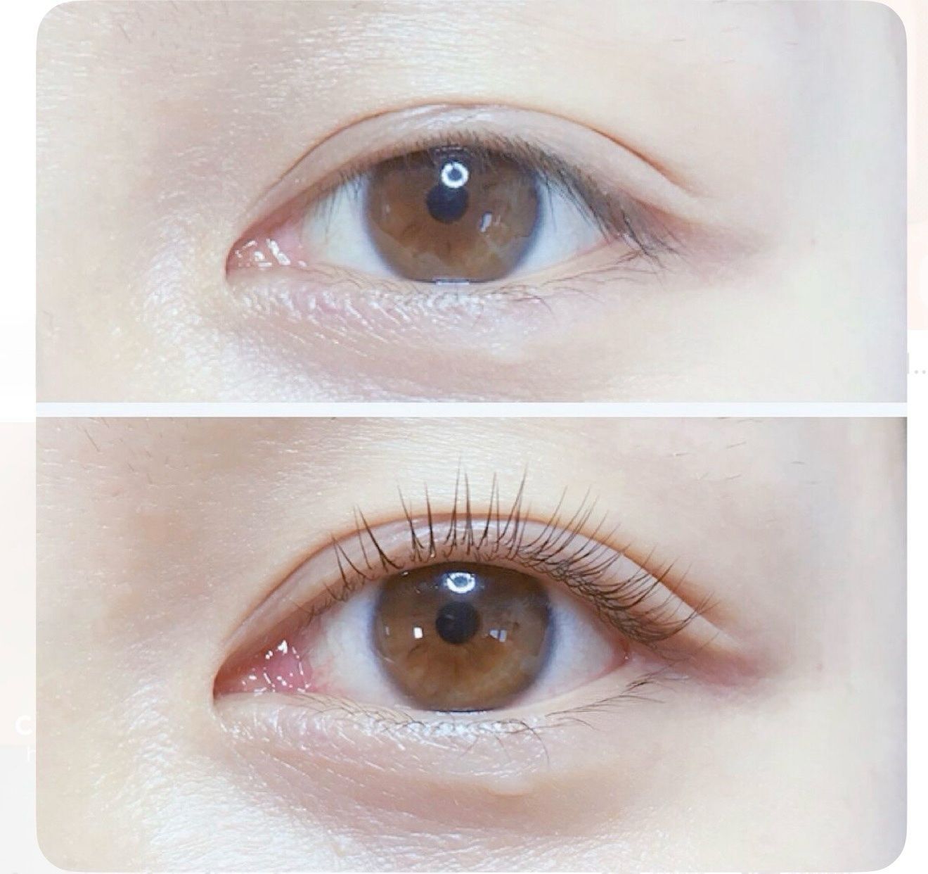 【CHRISTY x Skin Couturier】角蛋白（買4次送1次）