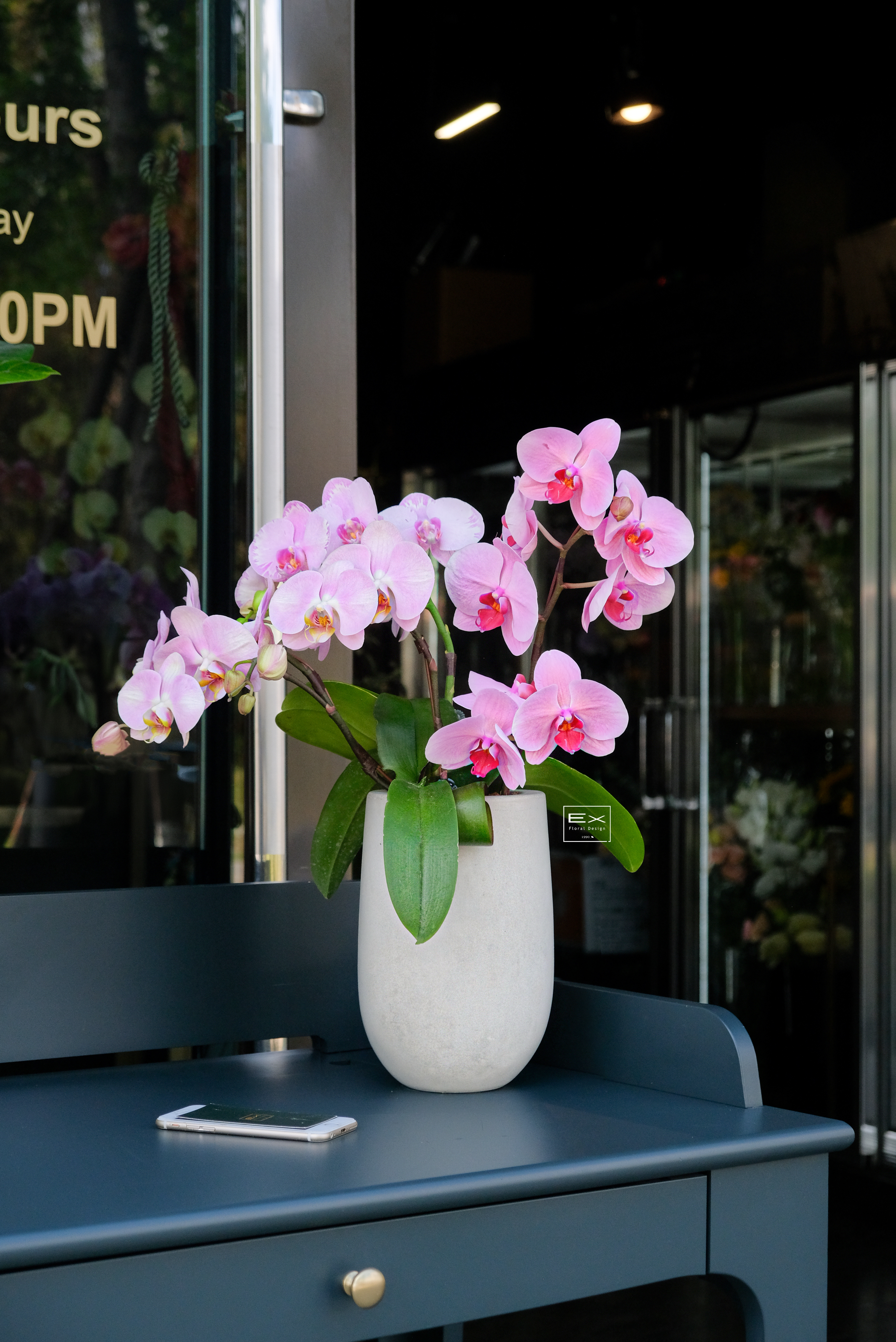 蘭庭石語 Orchid Courtyard Whisper｜蝴蝶蘭花禮