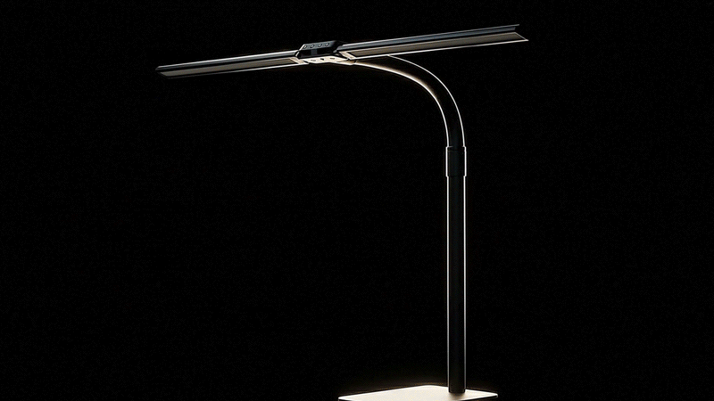 光之塔無極限雙翼展開動畫1