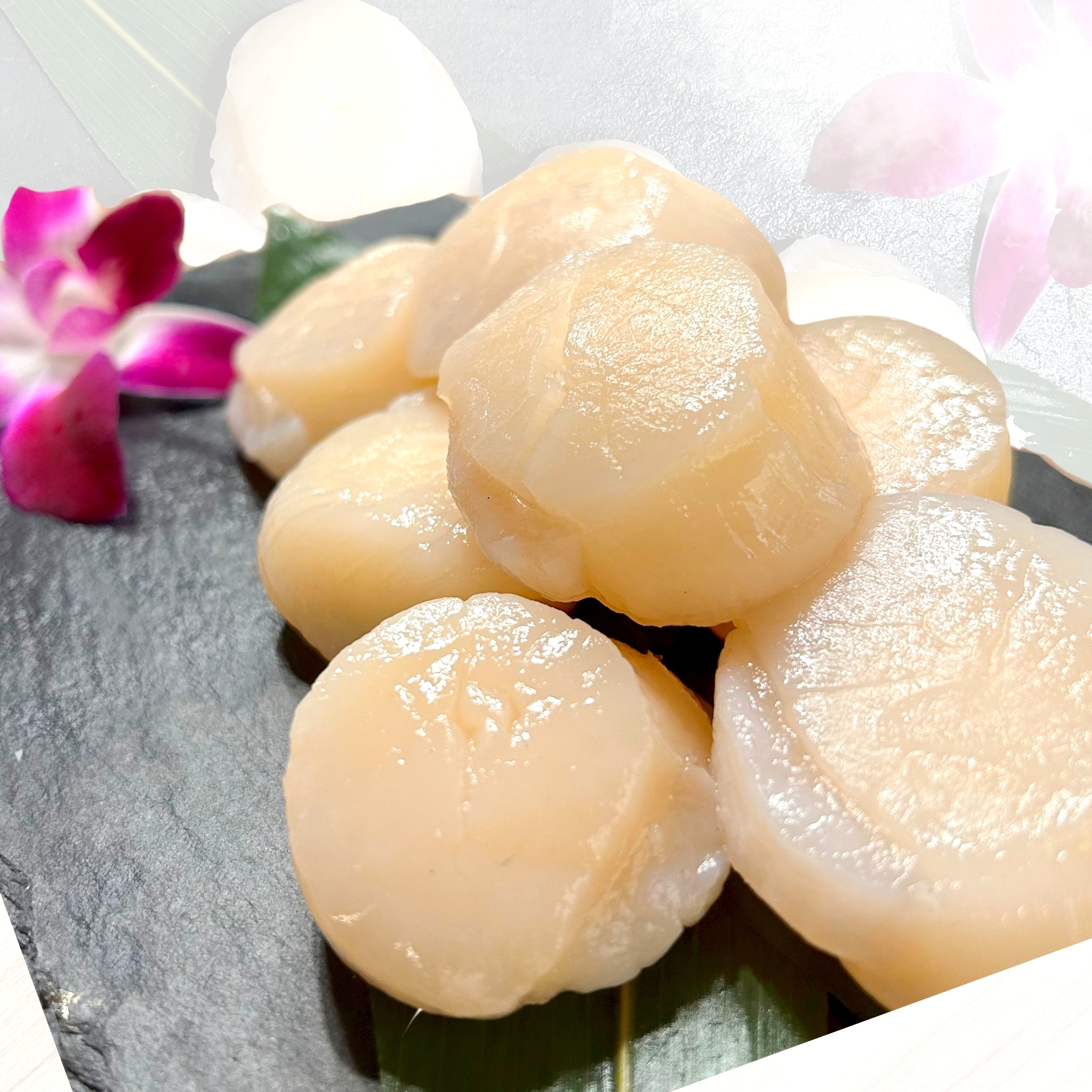 日本帶子 (S生食級干貝)