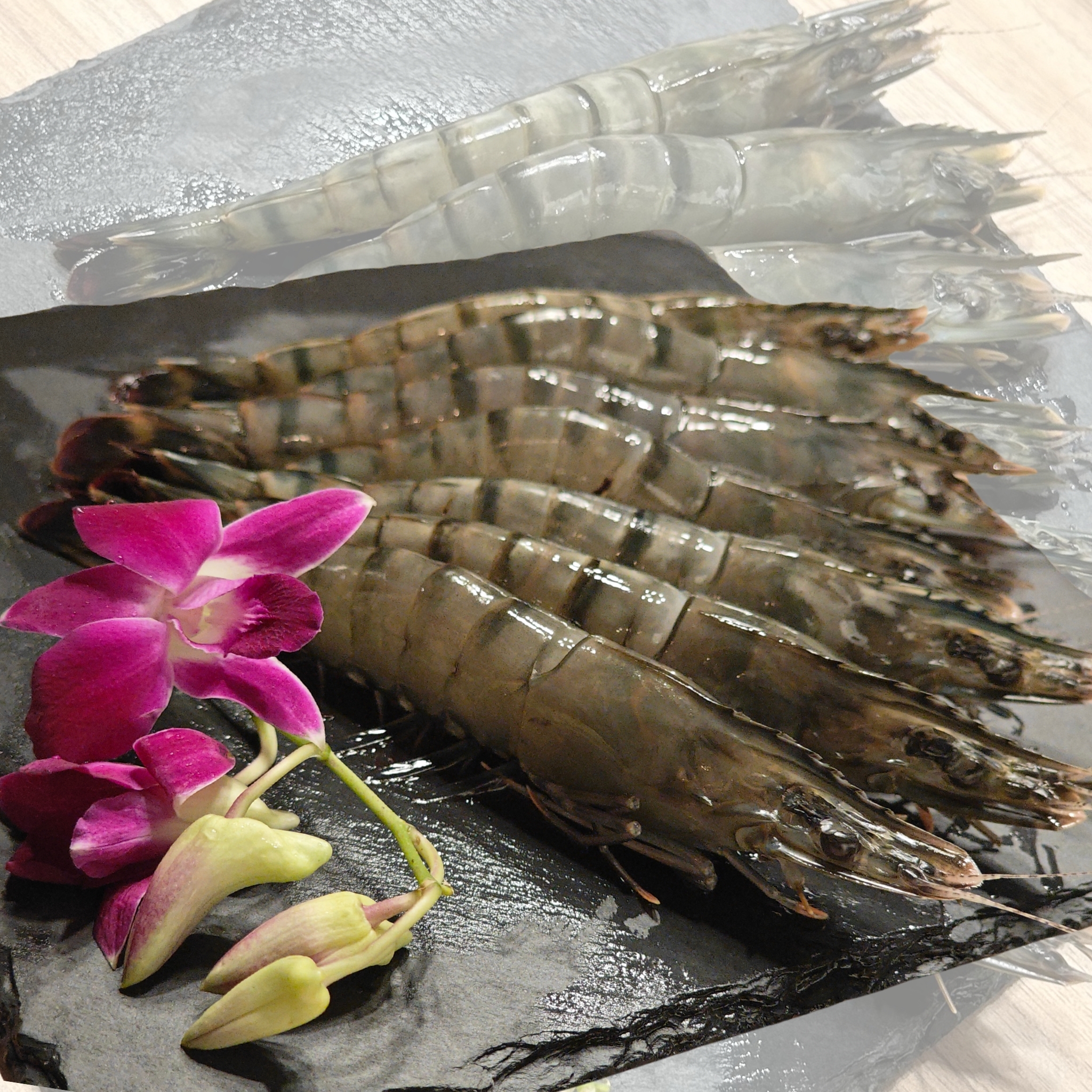 馬來西亞 活凍草蝦