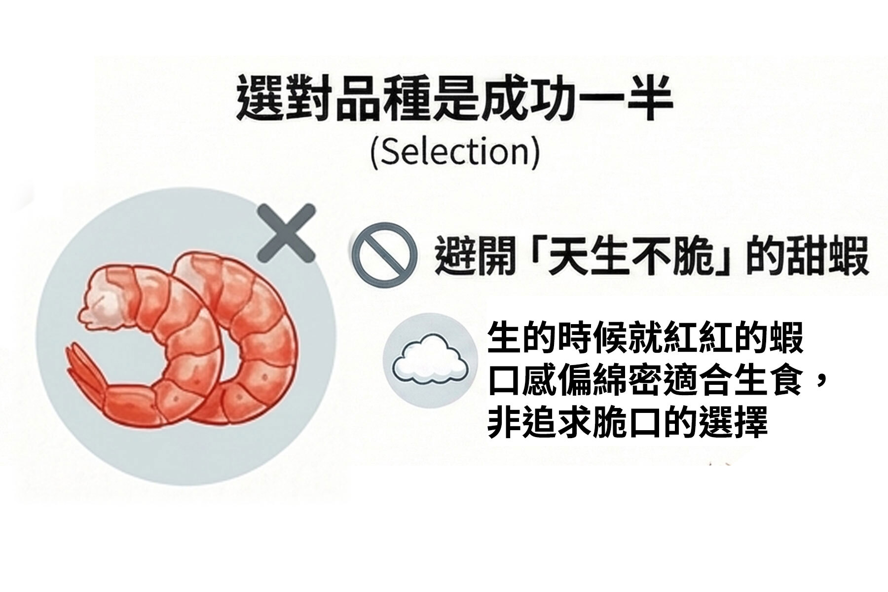 蝦的品種一定要選對!