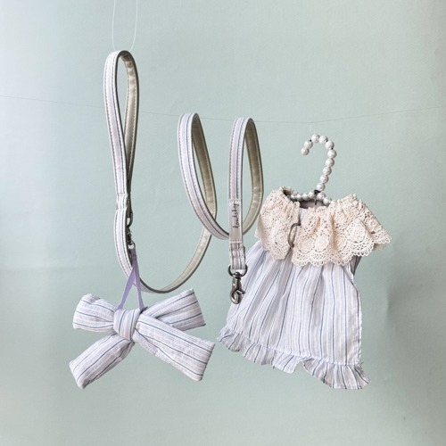 Louisdog 早晨散步去胸背組