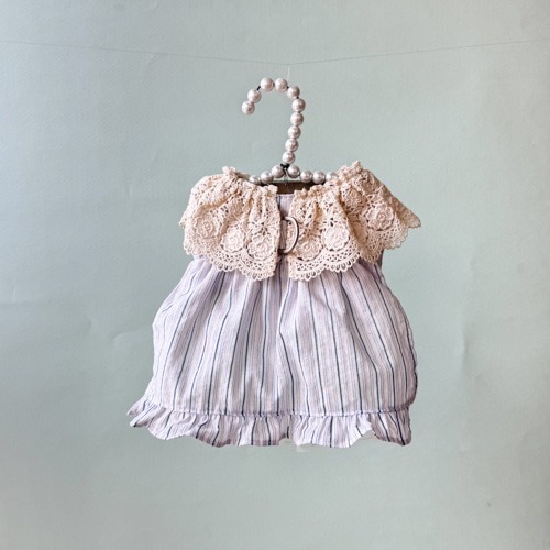 Louisdog 早晨散步去胸背組