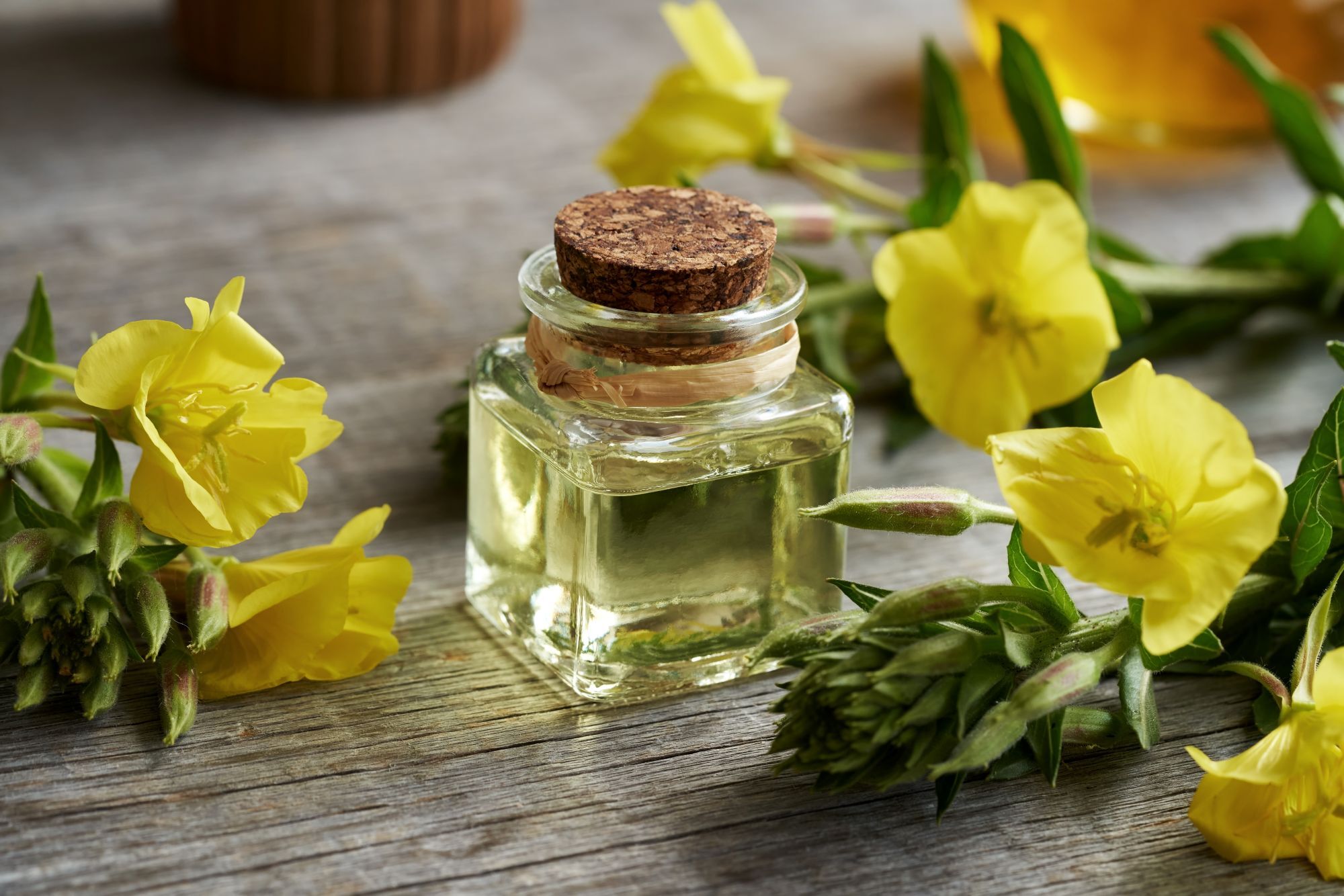 冷壓月見草油幫助犬貓補充必要脂肪酸 OMEGA-6