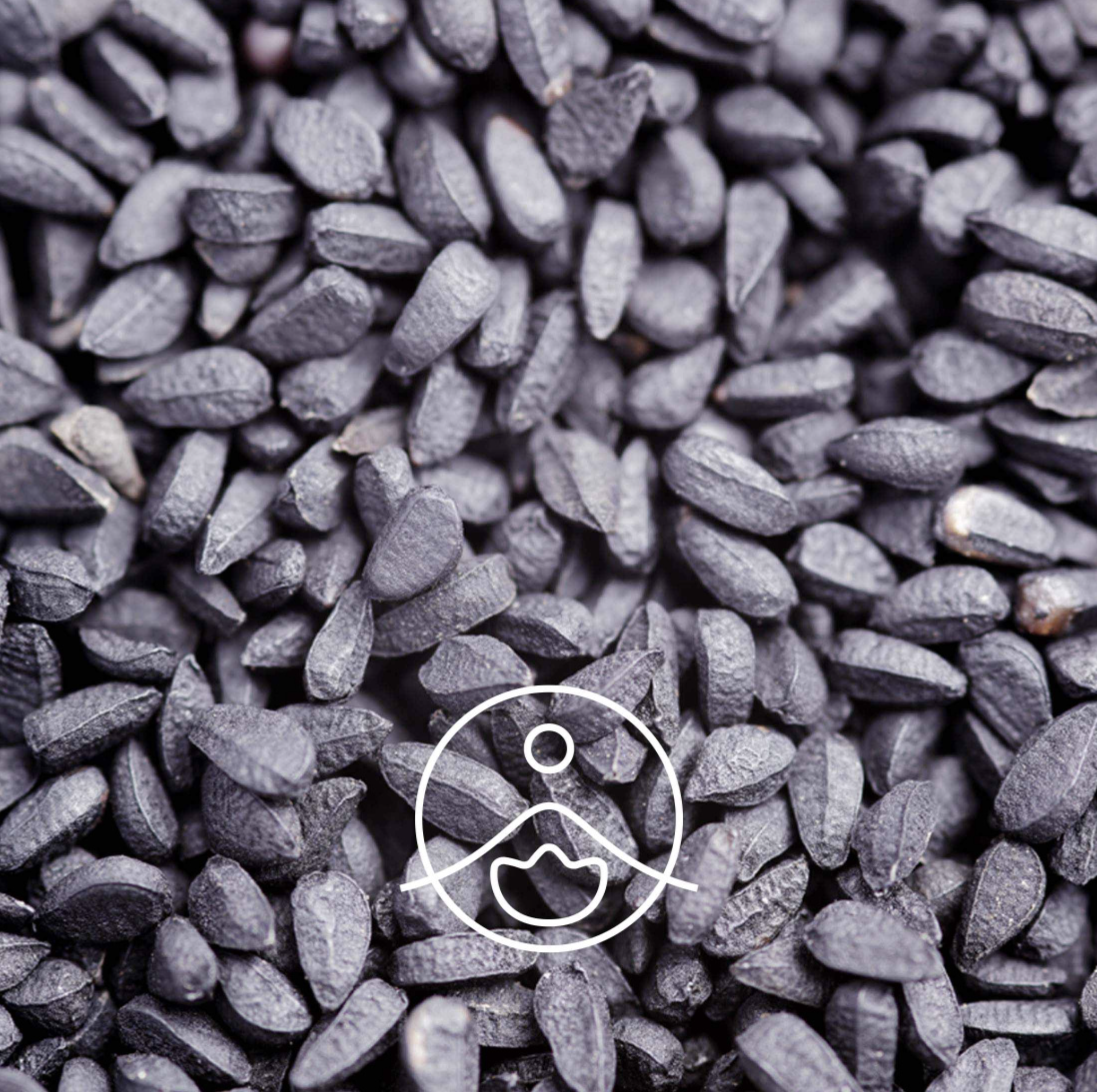 有機黑種草油 (黑孜然籽) - Florihana