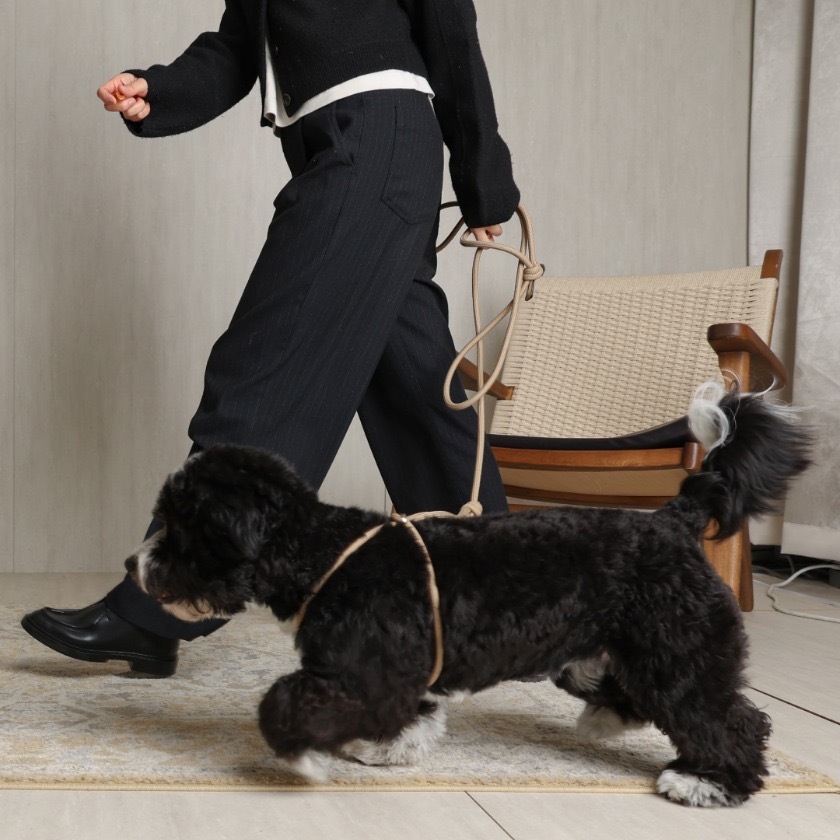 All in One Harness | Savino Grain Leather