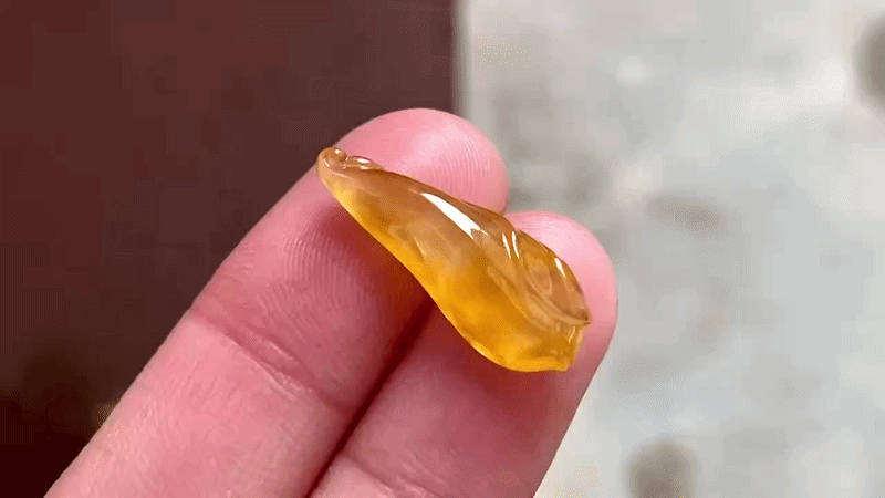 3741 翡翠黃金蘭花