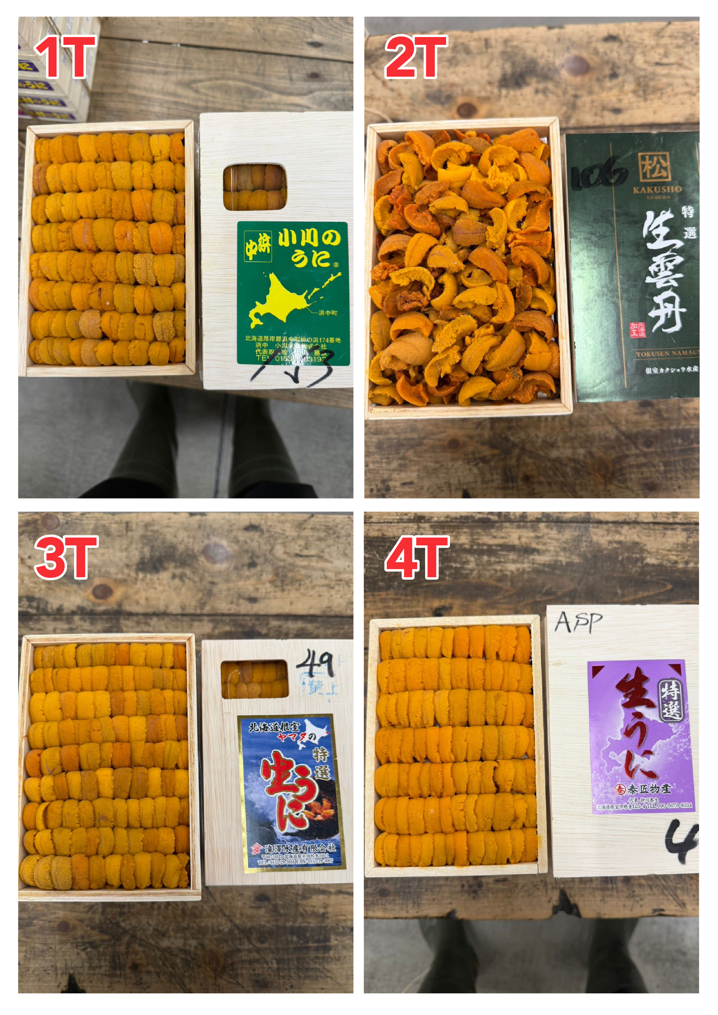 【Recommended Sea Urchin (Uni) Selection】 Updated Daily (Order Today for Next-Day Delivery)