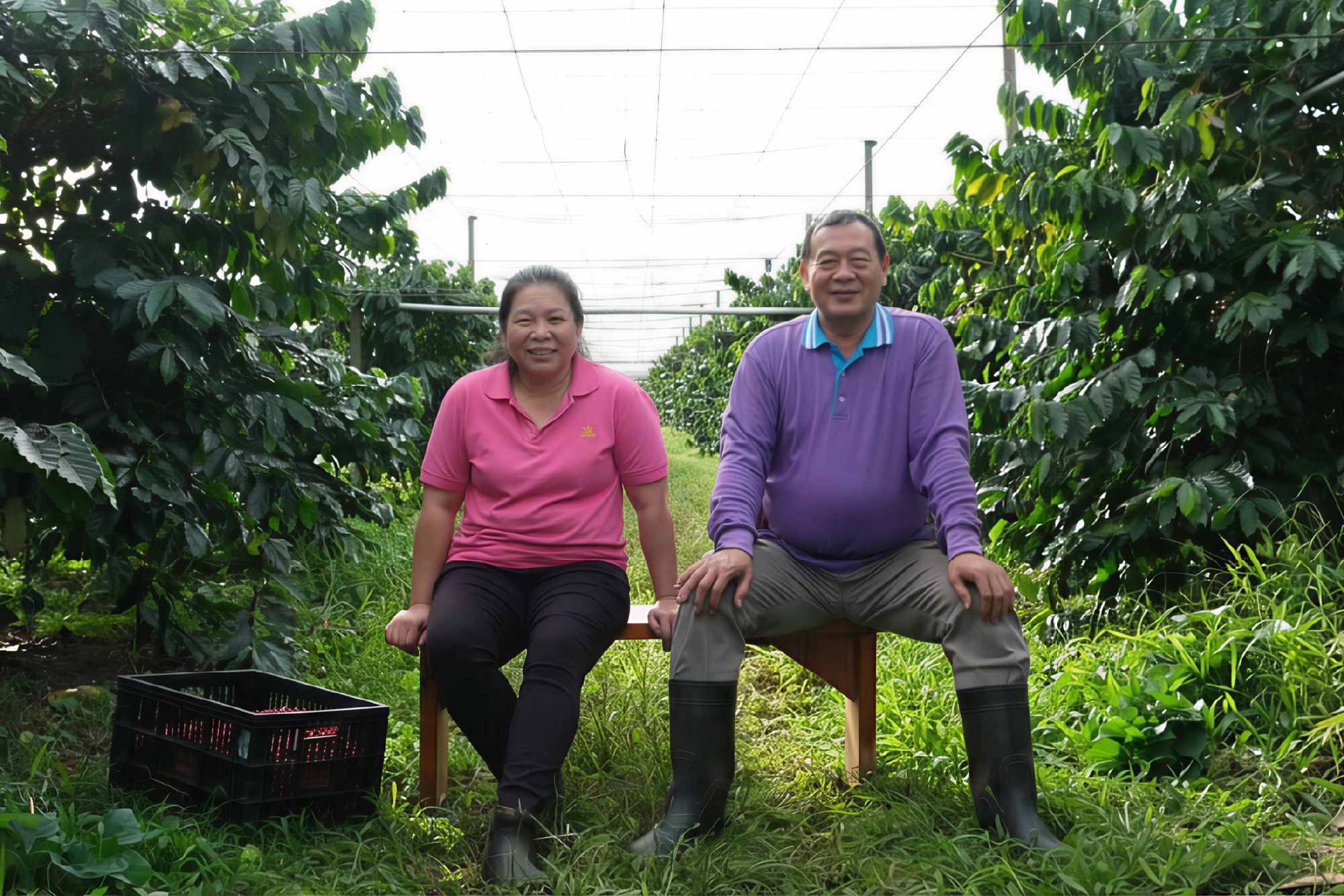 陳勝樂莊園的故事