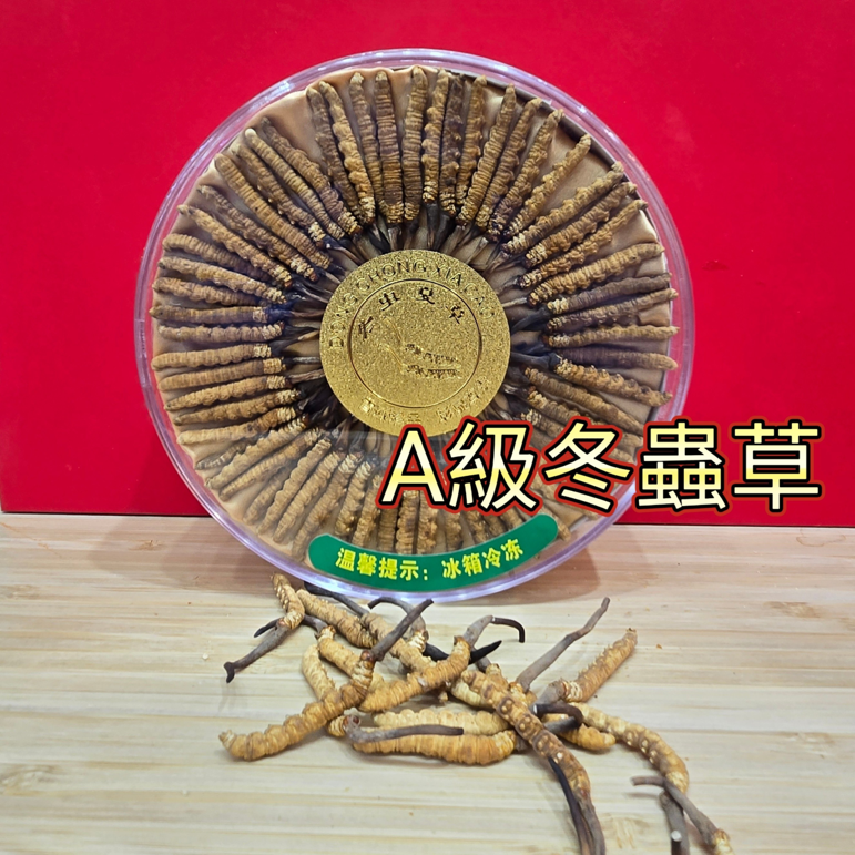 【O My Zhop x 新彊好貨 0316 】[ZS03] 西藏A級正品野生冬蟲草 100條/盒 (11.5g), 送2g波斯藏紅花