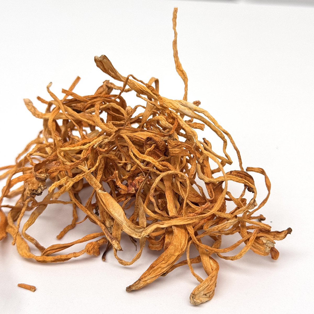 【O My Zhop x 新彊好貨 0316 】[ZS13] 波斯精品蟲草花 200g