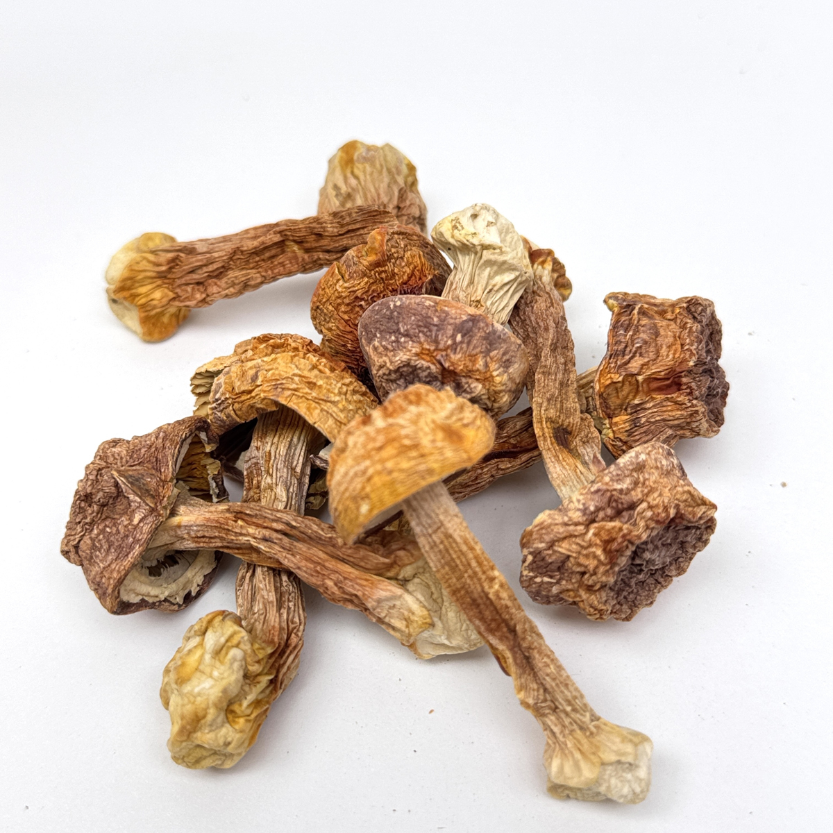 【O My Zhop x 新彊好貨 0316 】[ZS33] 新疆姬松茸 150g