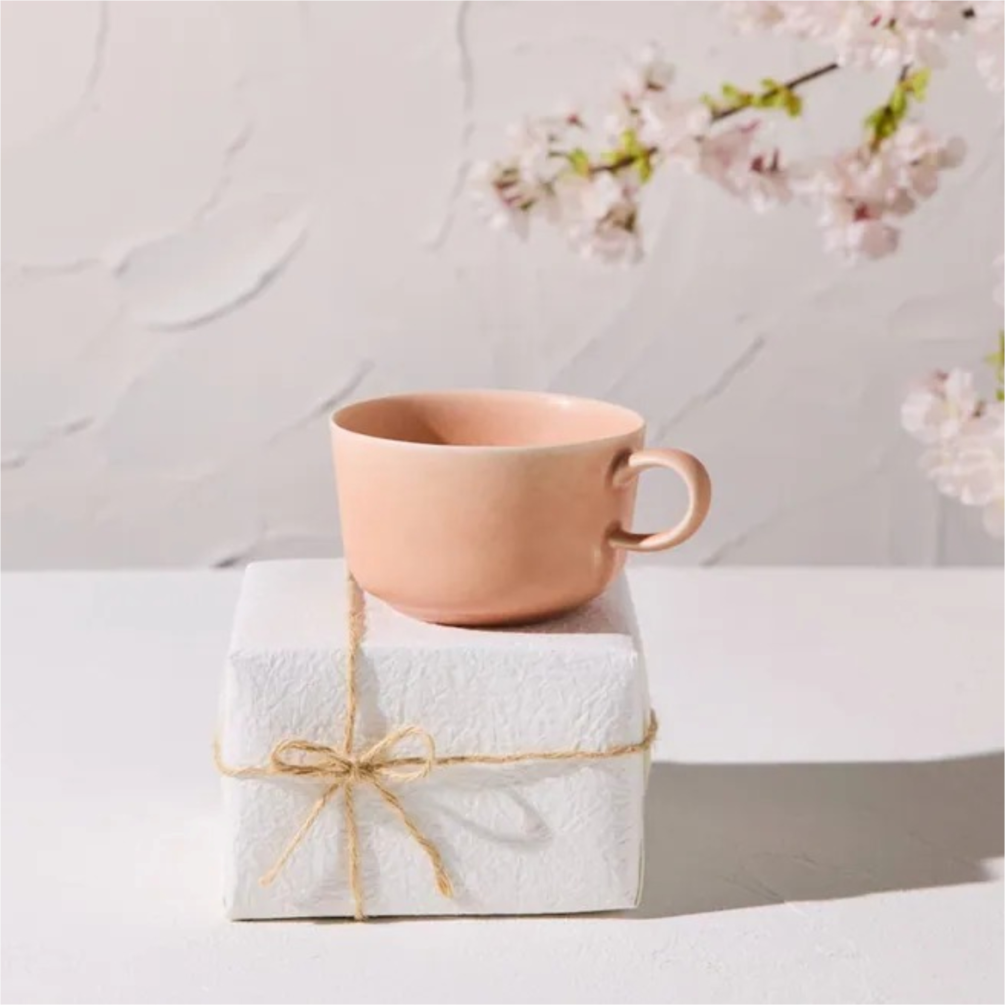 2026SS BLUE BOTTLE 藍瓶 SAKURA LATTE CUP 限定 拿鐵 櫻花 馬克杯 杯子 現貨