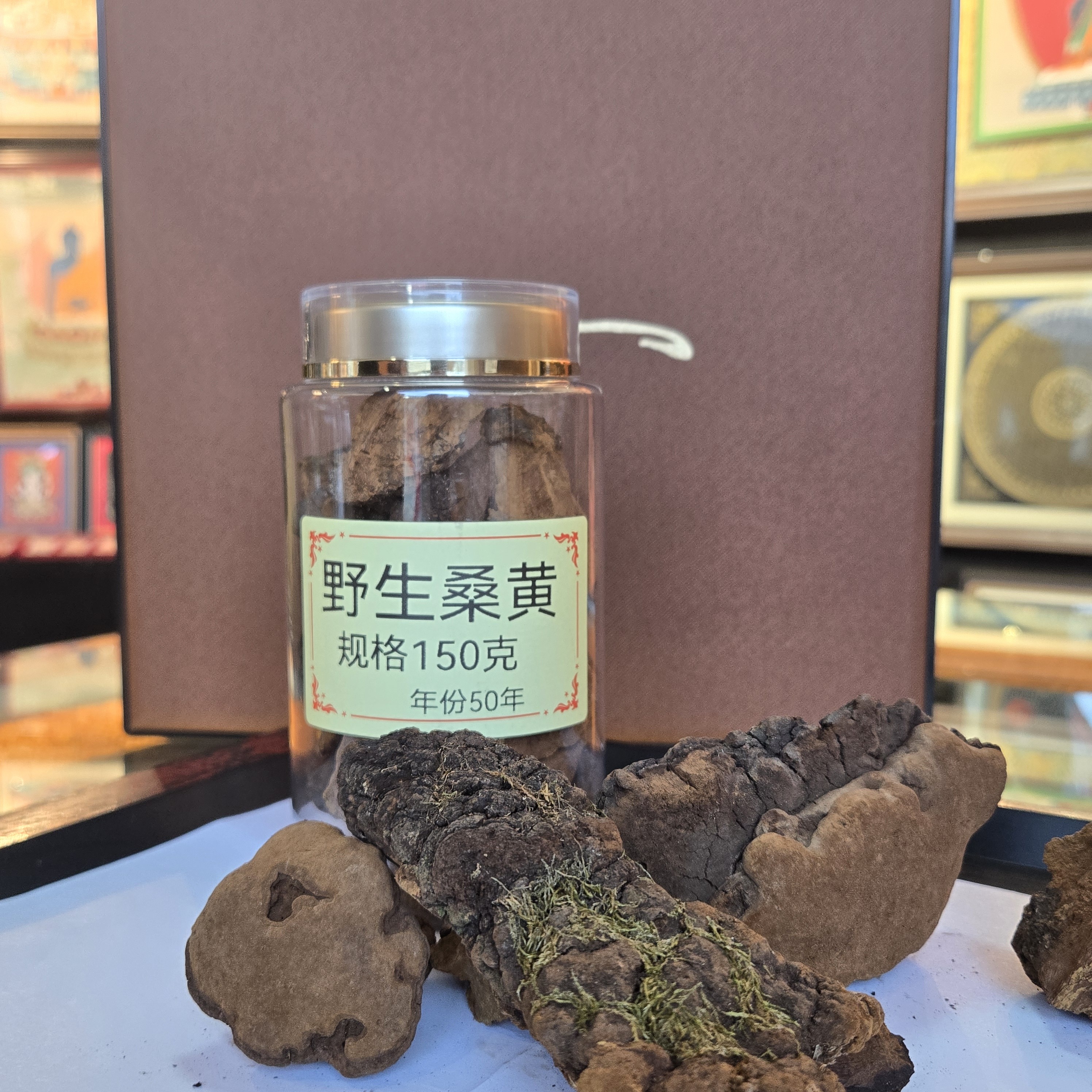 【O My Zhop x 新彊好貨 0316 】[ZS68] 西藏野生桑黃 270g