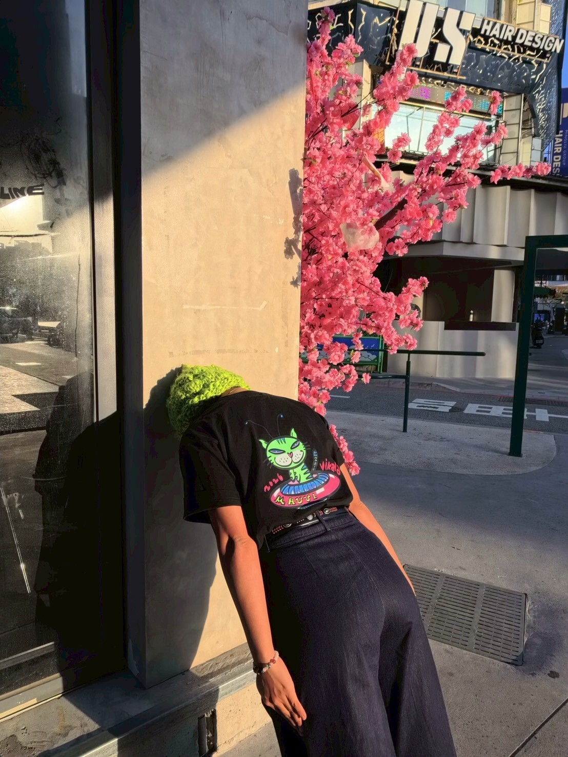 vikaij art 插畫重磅ｔ-外星貓