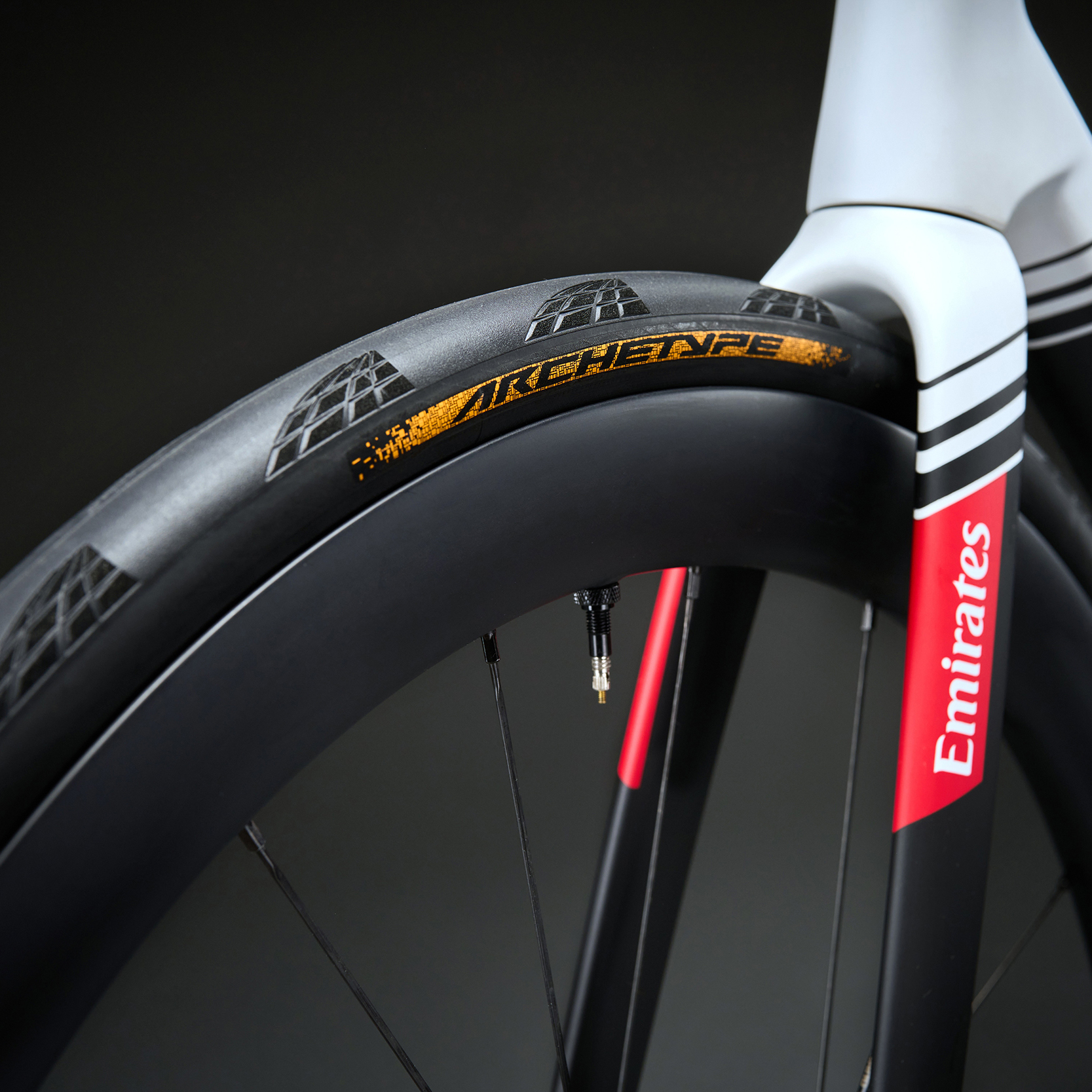 Continental Archetype 無內胎公路胎 (UAE Team Emirates 車隊聯名)