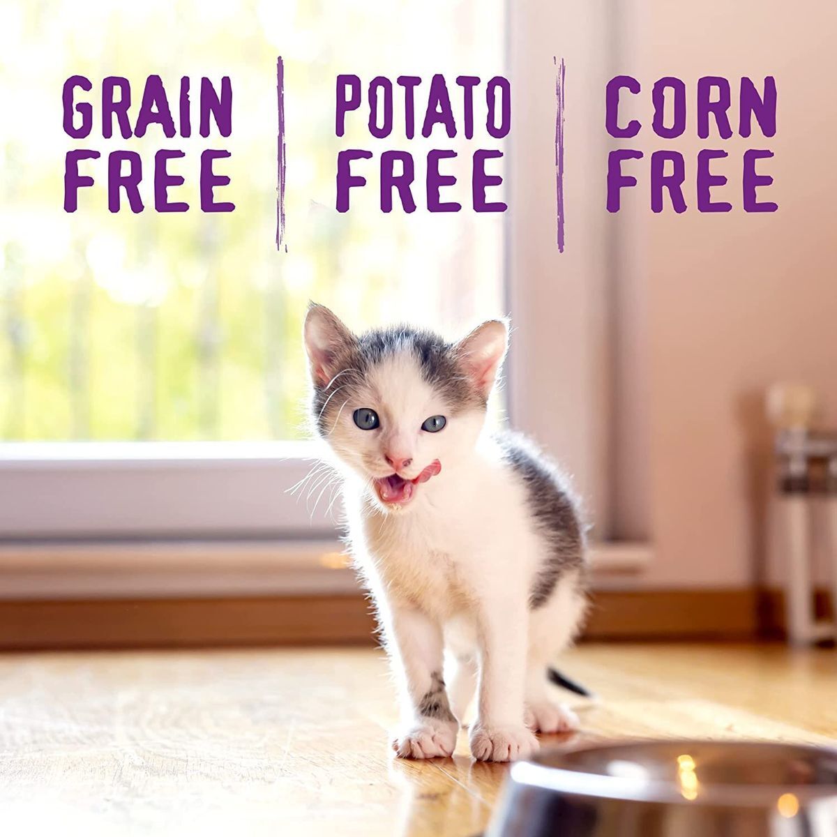 stella & chewy's 幼貓糧