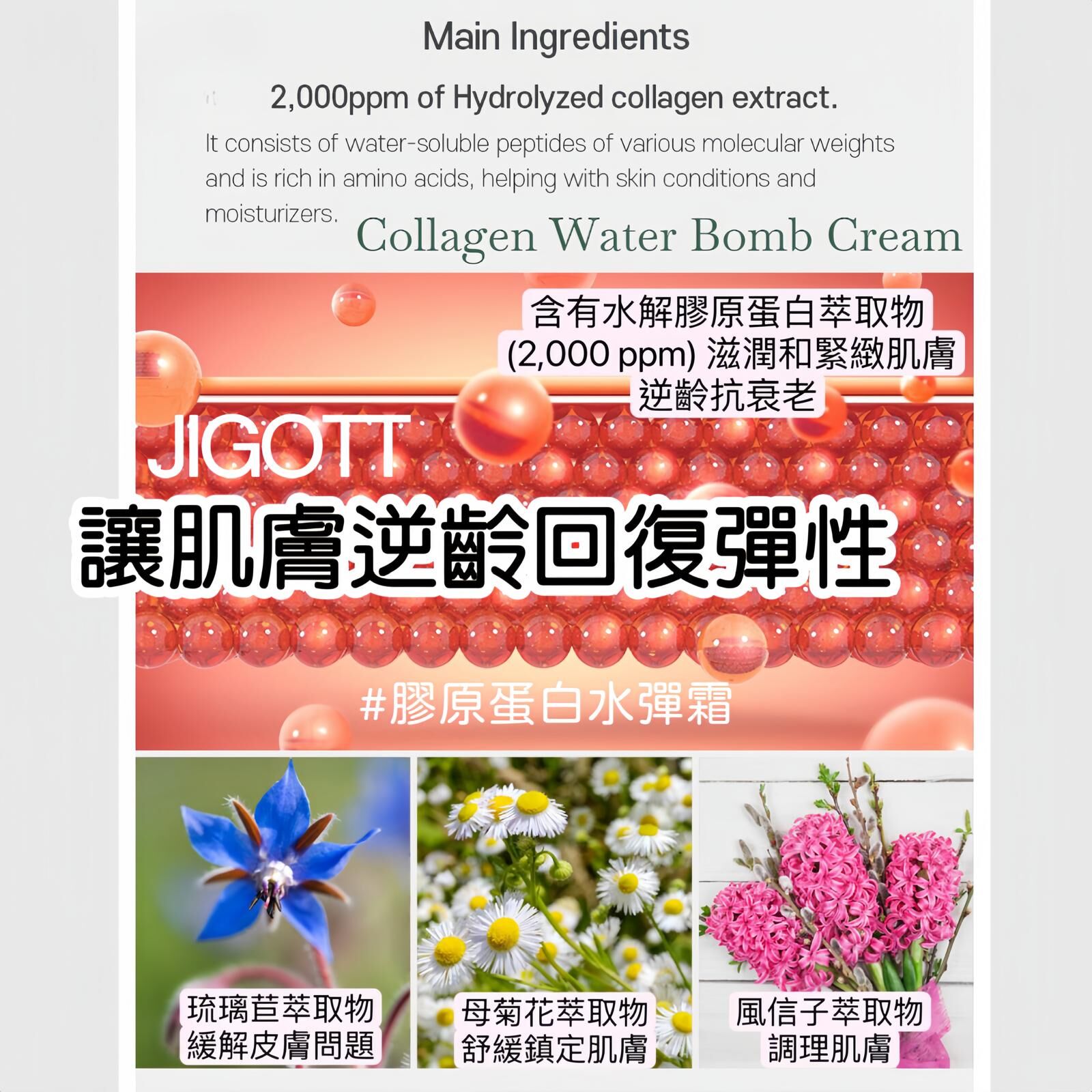 JIGOTT  膠原蛋白水彈霜