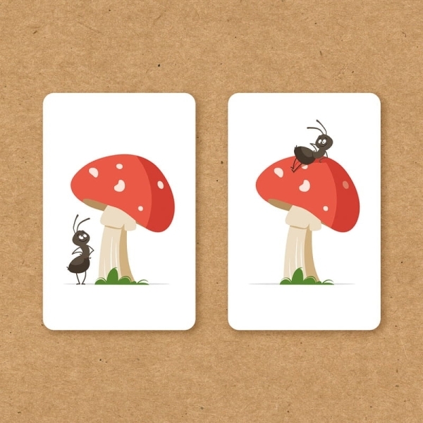 大家來找碴 SCHAU MAL 繁體中文版