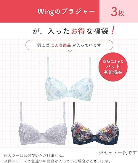 【預購】J0313602 [wacoal /wing 福袋] 胸罩 3 件裝，型號 KB9850