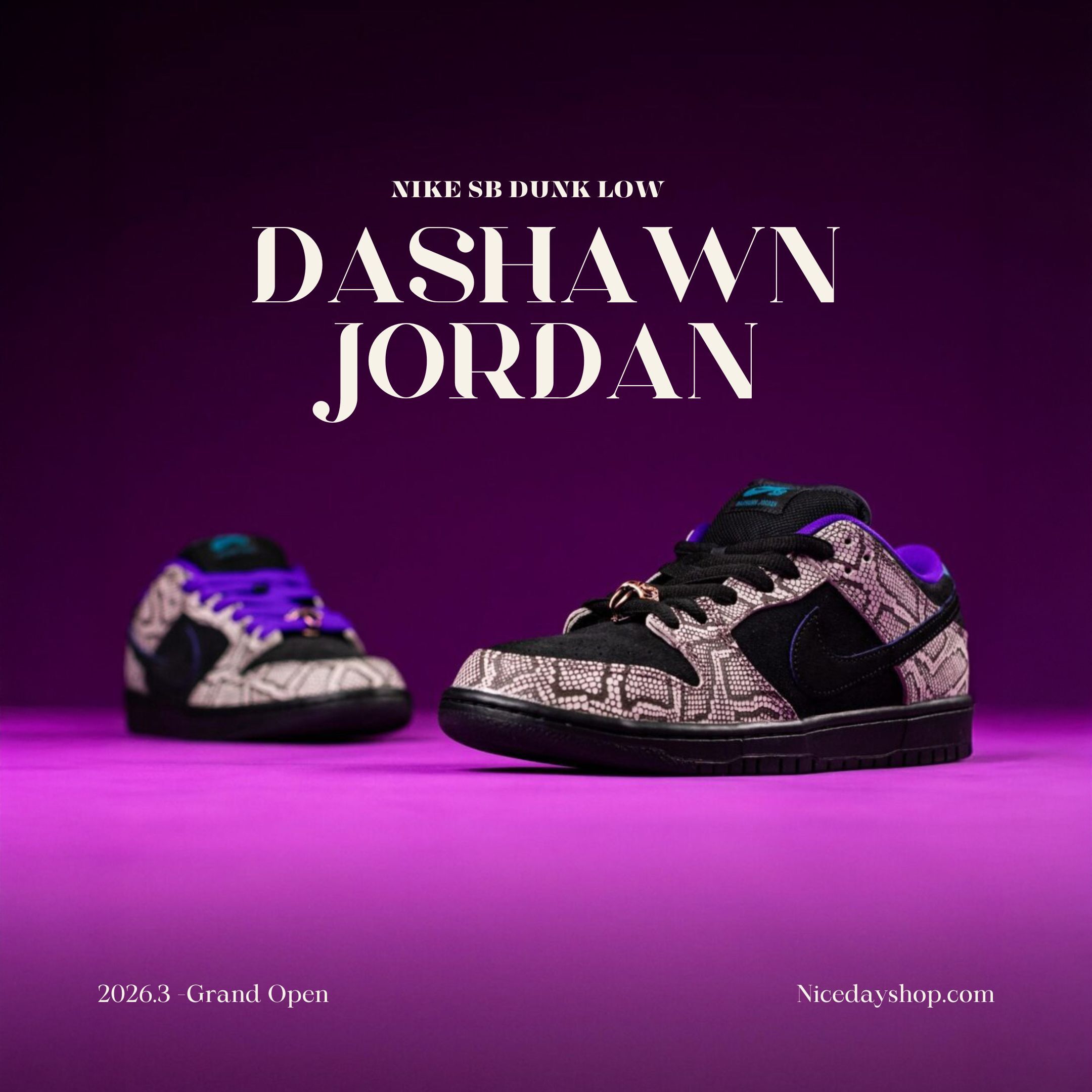 NICEDAY 代購 Dashawn Jordan x Nike SB Dunk Low 聯名 滑板 蟒蛇 蛇紋 摩卡 黑 IB6208-200