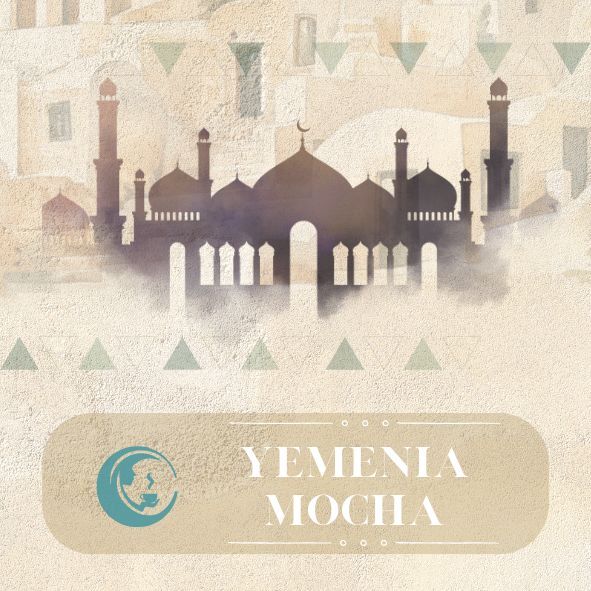 葉門｜赫拉茲摩卡｜日曬｜中焙