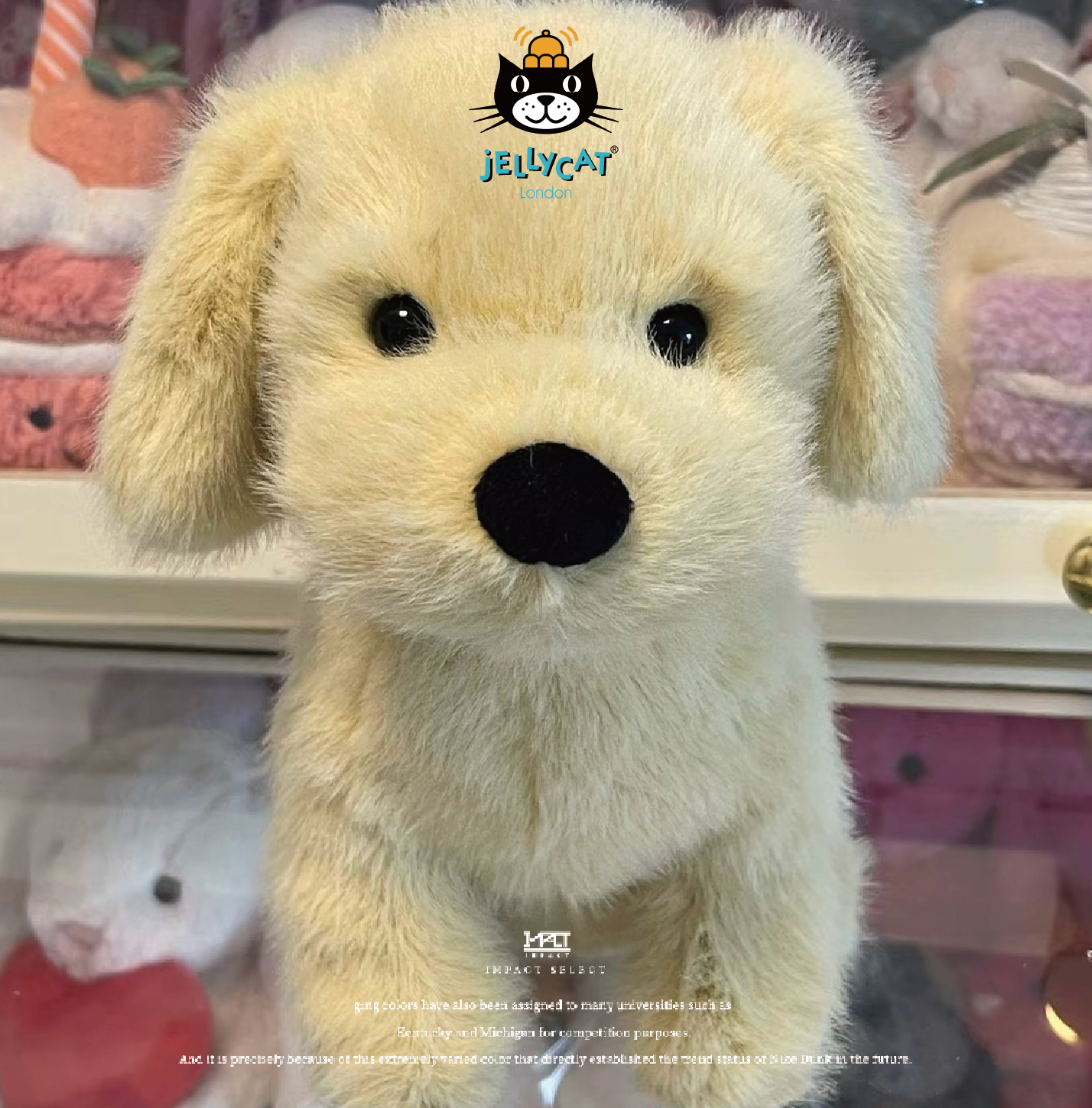 Jellycat 小金毛 黃金獵犬 小狗 幼犬 玩偶