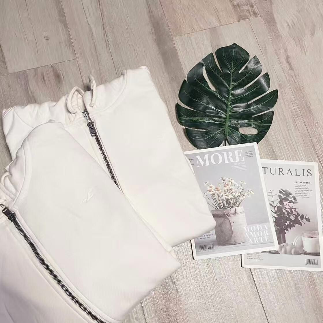 HOLLISTER SMALL LOGO ZIPUP