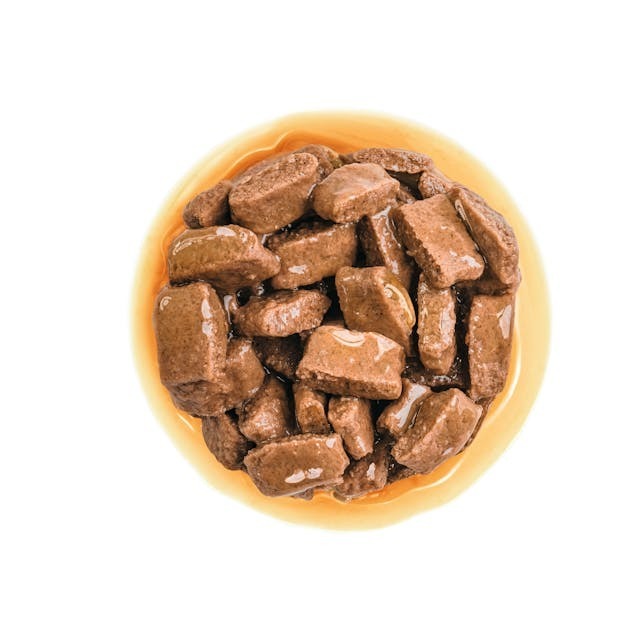 Royal Canin SHN 大型老犬8+營養主食濕糧 (肉汁) 【140gx10包】