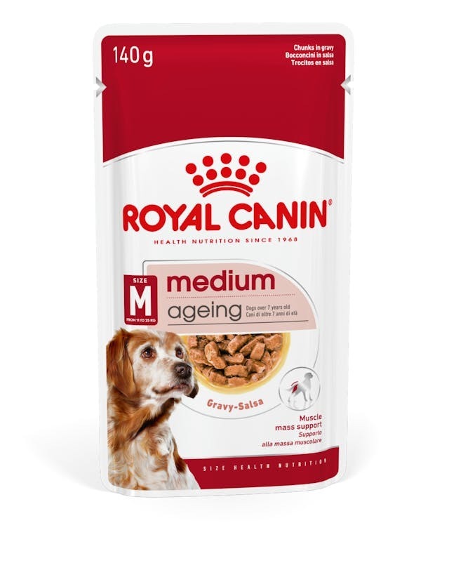 Royal Canin SHN 中型老犬10+ 營養主食濕糧 (肉汁) 【140gx10包】