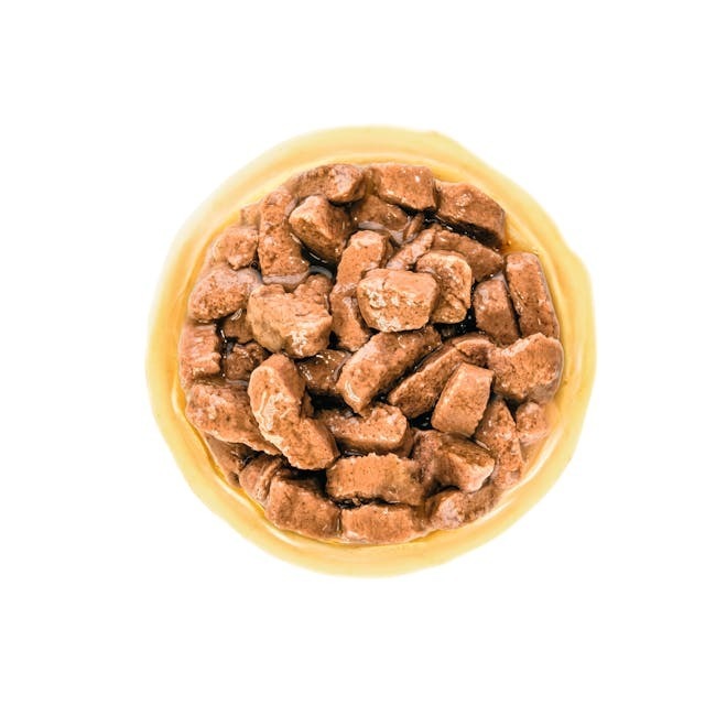 Royal Canin SHN 中型老犬10+ 營養主食濕糧 (肉汁) 【140gx10包】