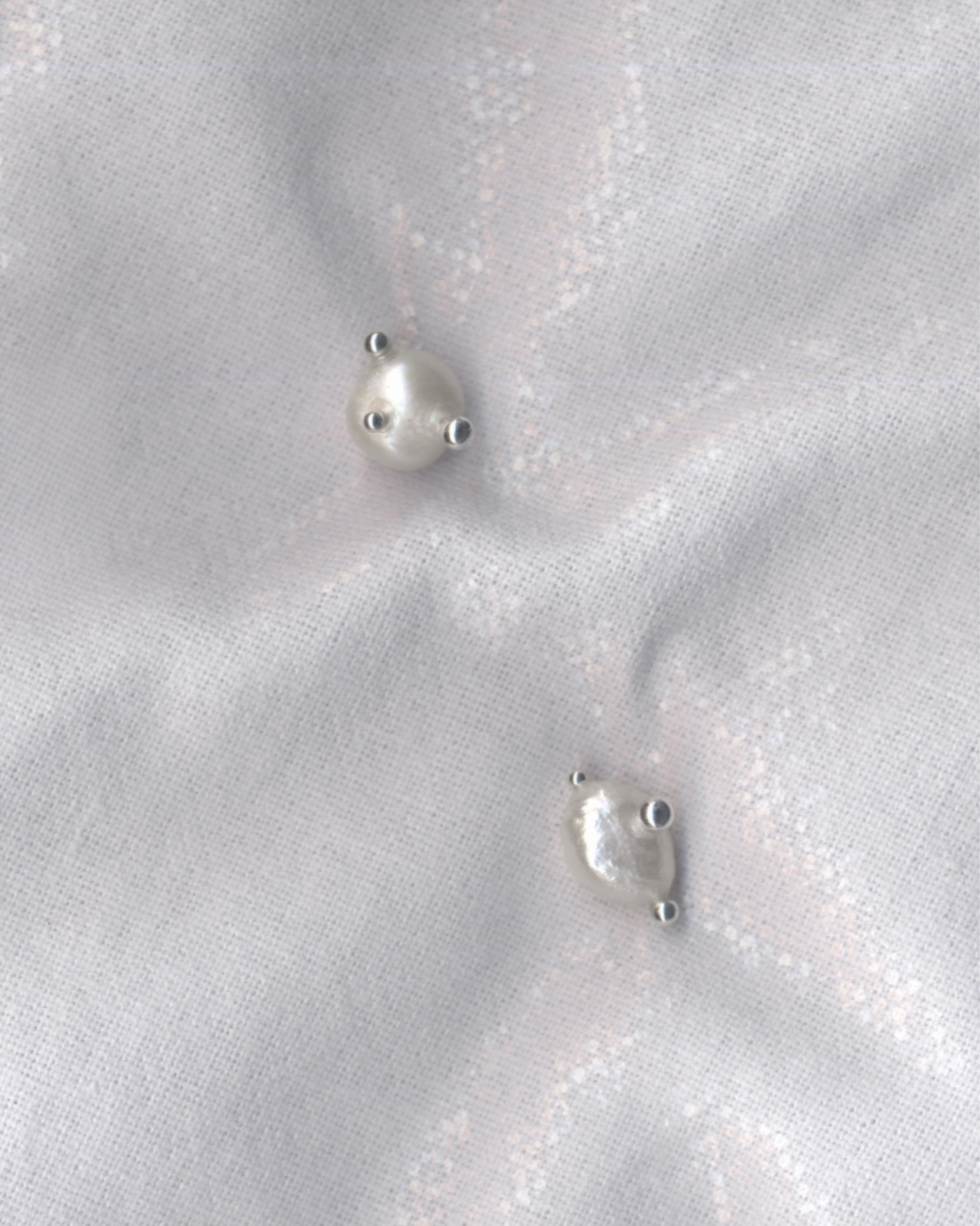 PROJ-ORNMNT Pearl Drop Earrings