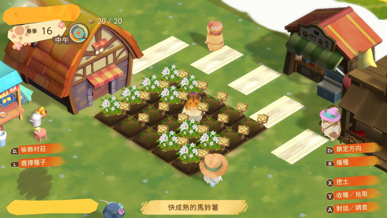 NS 箱庭開拓：倉鼠與太陽之鄉 中文版