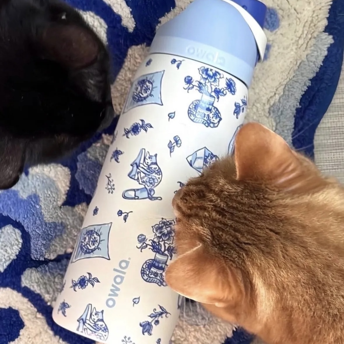 OWALA UO EXCLUSIVE DELFT CAT FREESIP® 貓咪印花 不銹鋼 保冰杯 32OZ