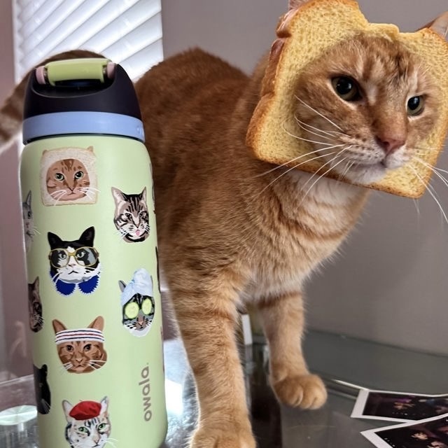 OWALA UO EXCLUSIVE CAT COLLAGE FREESIP® 大頭貓咪拼貼 綠色 保冰杯 不銹鋼 32OZ