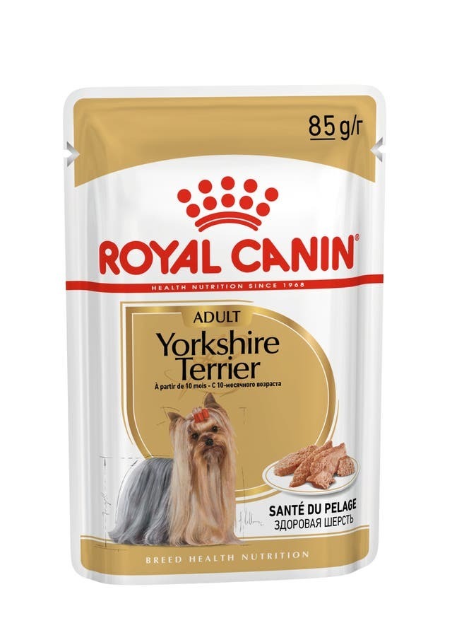 Royal Canin BHN 約瑟爹利成犬 專屬主食濕糧 (肉塊) 【85gx12包】