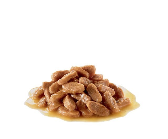 Royal Canin SHN 小型幼犬 營養主食濕糧 (肉汁) 【85gx12包】