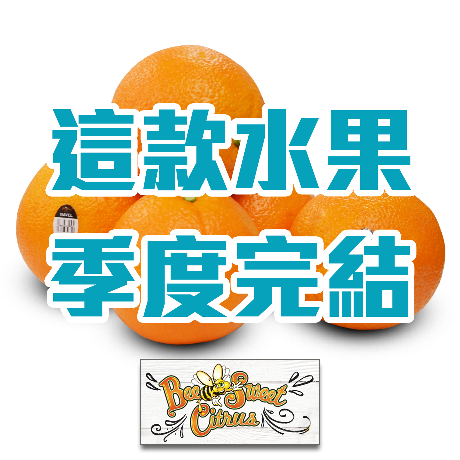 American BeeSweet Oranges [3 pcs]