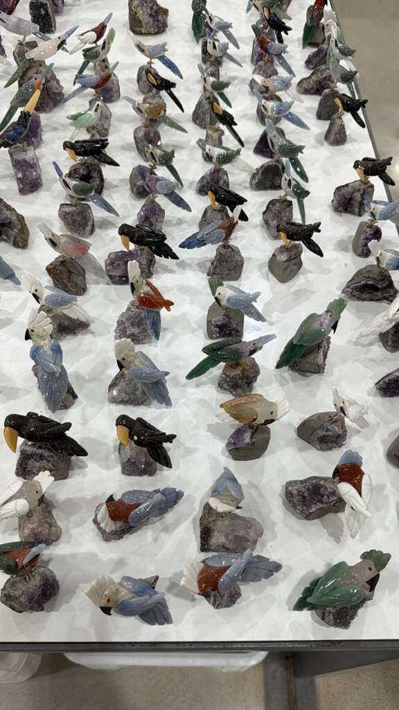 WN062 水晶鸚鵡 A62 8-9cm (款式隨機)