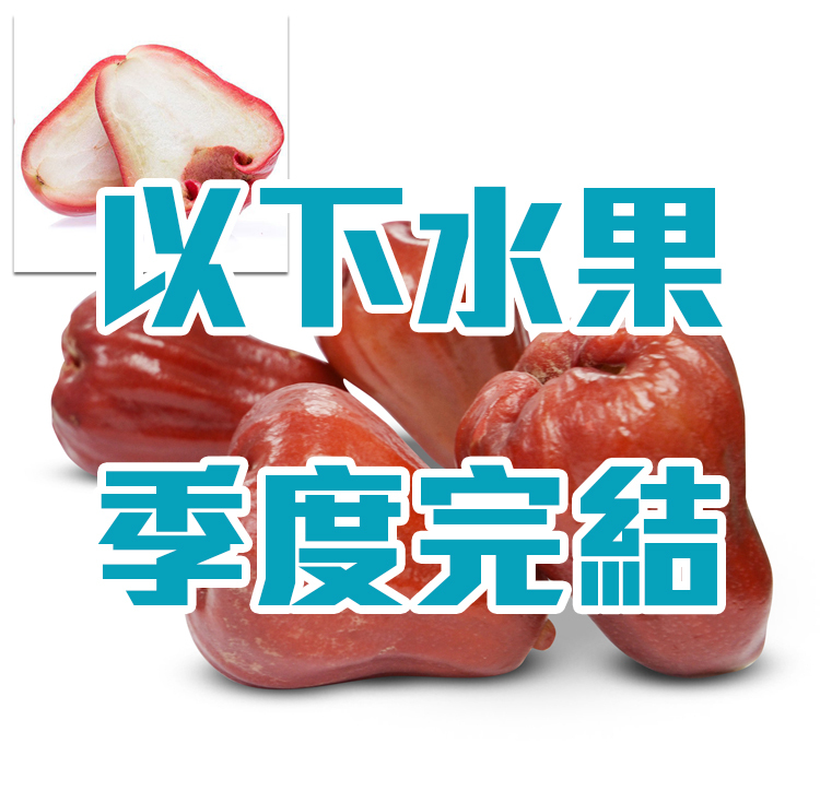 Java Apple (Lotus Mist) [5 pcs]