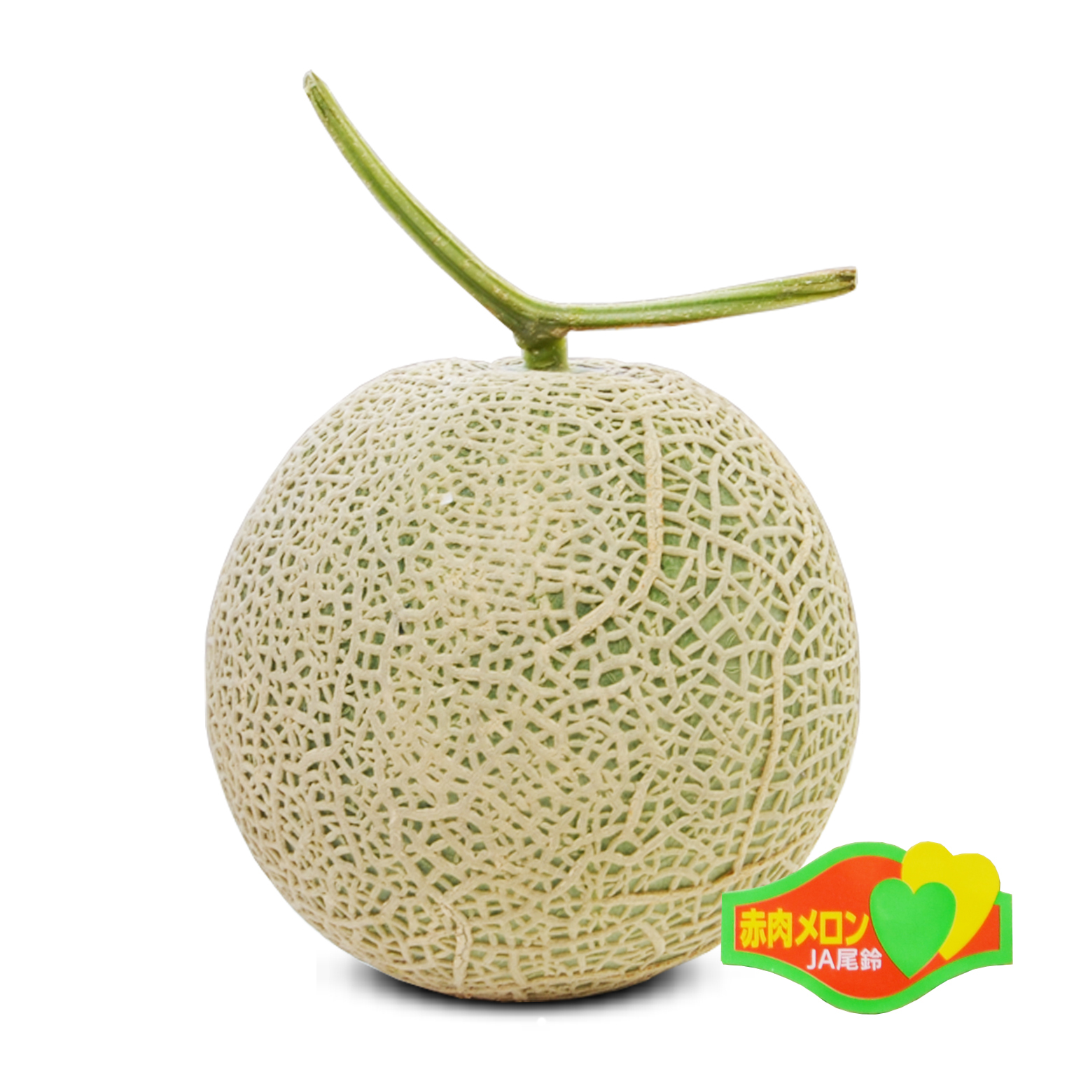 Miyazaki Akaniku Melon [1 pc|L size]