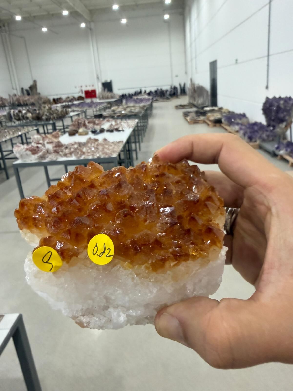 WN286 SIU9 黃水晶簇 0.82 kg