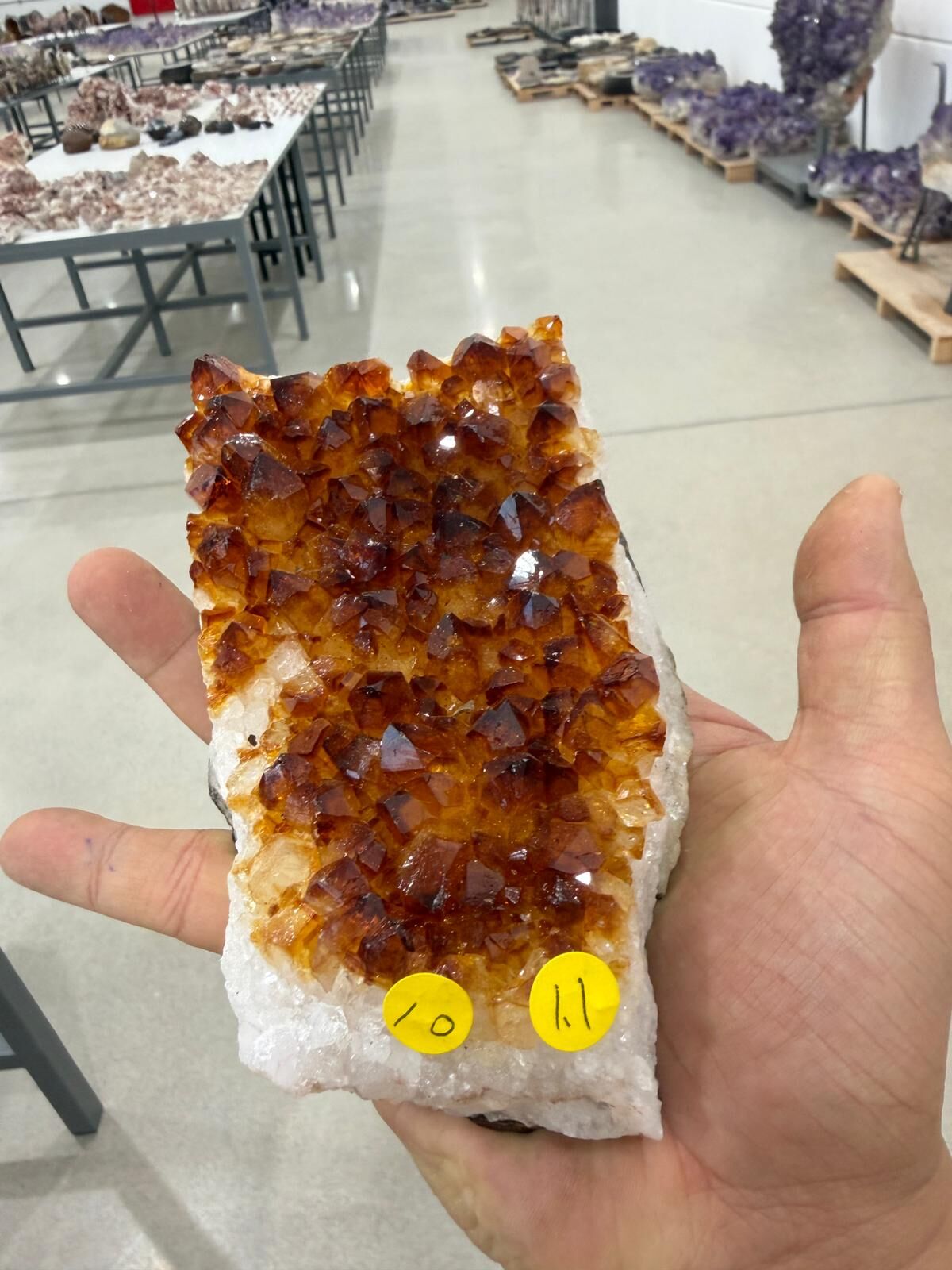 WN287 SIU10 黃水晶簇 1.10 kg